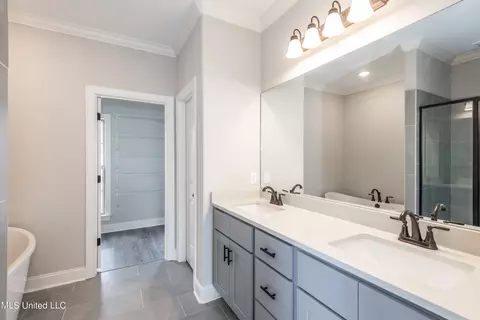 Bath - 1810 Baisley Dr, Nesbit, MS 38651 photo 2 of 3