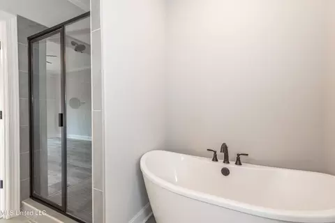 Bath - 1810 Baisley Dr, Nesbit, MS 38651 photo 3 of 3