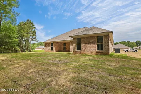 Exterior - 120 Jasmine Cove Dr, Brandon, MS 39042 photo 6 of 7