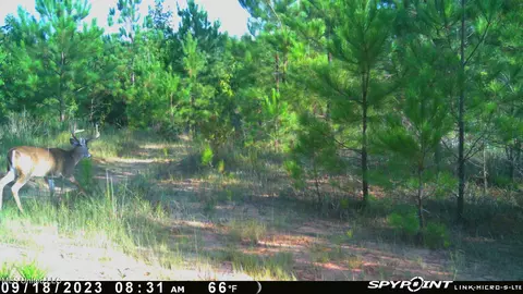 0 County Road 3222, Ethel, MS 39067 photo 5