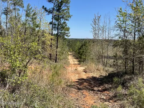 0 County Road 3222, Ethel, MS 39067 photo 14