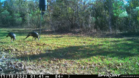 0 County Road 3222, Ethel, MS 39067 photo 19