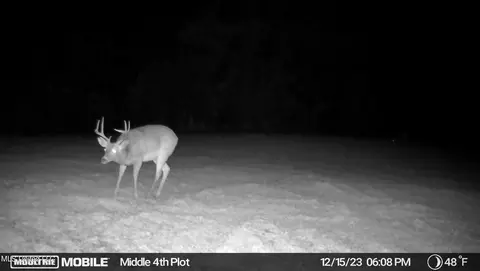 0 County Road 3222, Ethel, MS 39067 photo 20