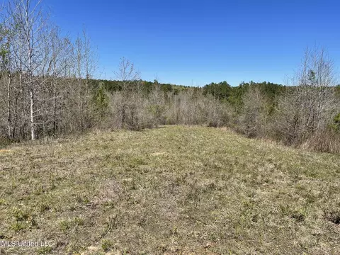 0 County Road 3222, Ethel, MS 39067 photo 12