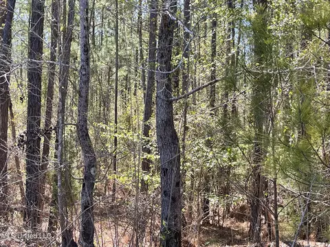 0 County Road 3222, Ethel, MS 39067 photo 16