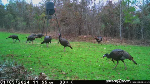 0 County Road 3222, Ethel, MS 39067 photo 3