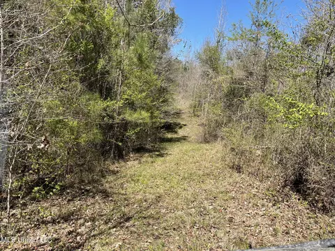 0 County Road 3222, Ethel, MS 39067 photo 13