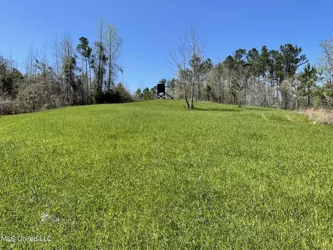 0 County Road 3222, Ethel, MS 39067 photo 2