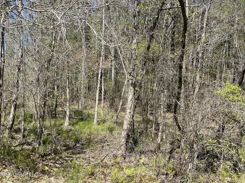 0 County Road 3222, Ethel, MS 39067 photo 11