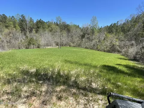 0 County Road 3222, Ethel, MS 39067 photo 9