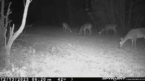 0 County Road 3222, Ethel, MS 39067 photo 7