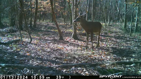 0 County Road 3222, Ethel, MS 39067 photo 21