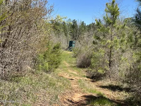 0 County Road 3222, Ethel, MS 39067 photo 6