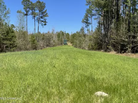 0 County Road 3222, Ethel, MS 39067 photo 15