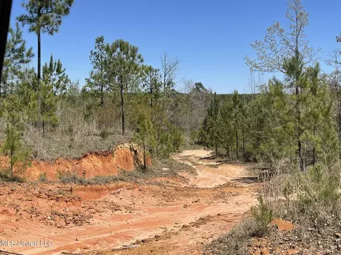 0 County Road 3222, Ethel, MS 39067 photo 23