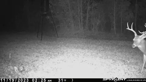 0 County Road 3222, Ethel, MS 39067 photo 18