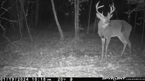 0 County Road 3222, Ethel, MS 39067 photo 4