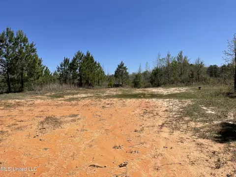 0 County Road 3222, Ethel, MS 39067 photo 22