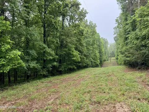 0001 Hwy 12, Lexington, MS 39095