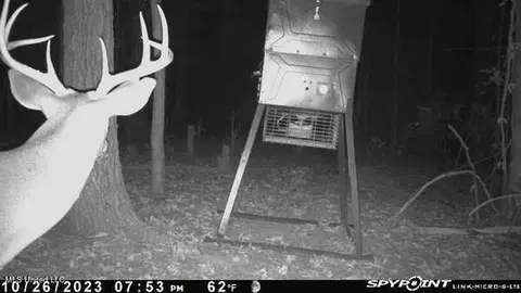 0 Hester Rd, Ackerman, MS 39735 photo 8