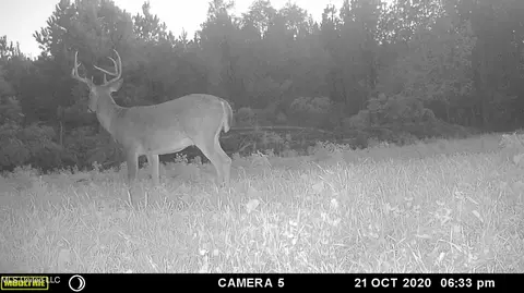0 Hester Rd, Ackerman, MS 39735 photo 9