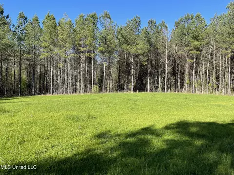 0 Hester Rd, Ackerman, MS 39735 photo 2