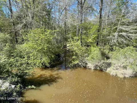 0 Hester Rd, Ackerman, MS 39735 photo 3