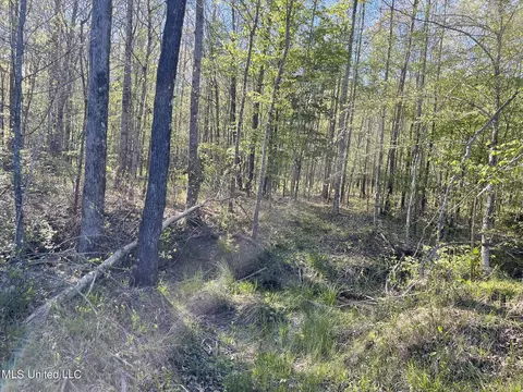 0 Hester Rd, Ackerman, MS 39735 photo 11