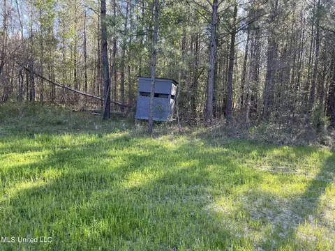 0 Hester Rd, Ackerman, MS 39735 photo 10