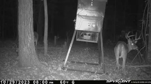 0 Hester Rd, Ackerman, MS 39735 photo 17
