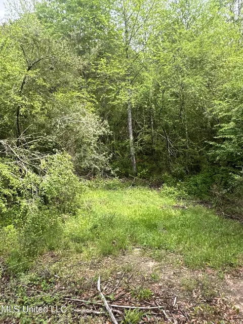 127 Burch Rd, Mendenhall, MS 39114 photo 6