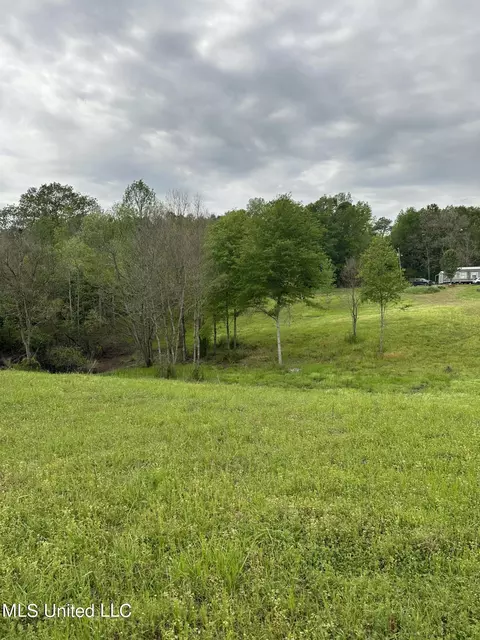 127 Burch Rd, Mendenhall, MS 39114 photo 3