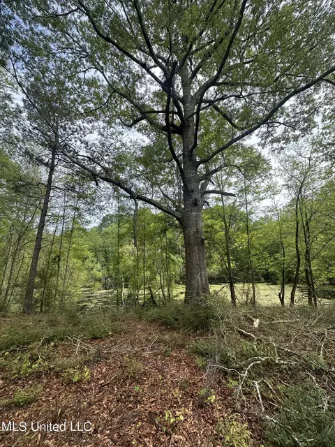 127 Burch Rd, Mendenhall, MS 39114 photo 11