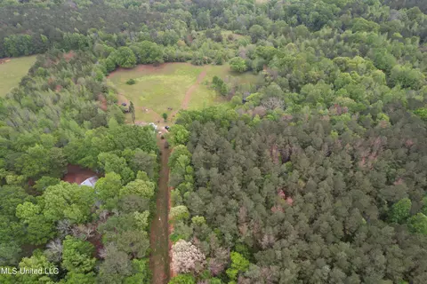 127 Burch Rd, Mendenhall, MS 39114 photo 17