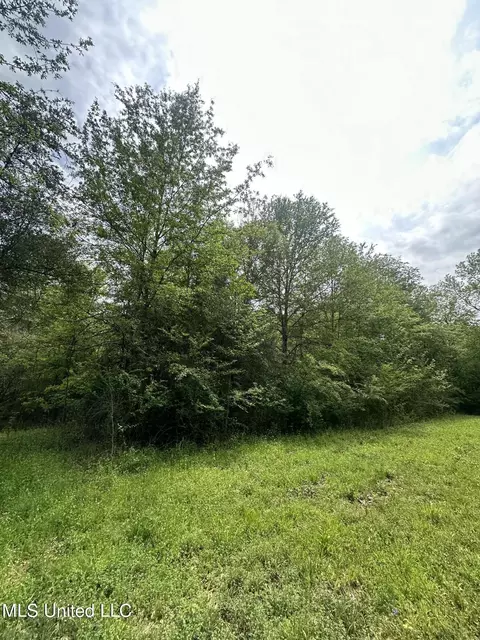 127 Burch Rd, Mendenhall, MS 39114 photo 5