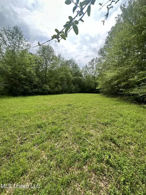 127 Burch Rd, Mendenhall, MS 39114 photo 4