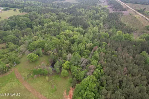 127 Burch Rd, Mendenhall, MS 39114 photo 15