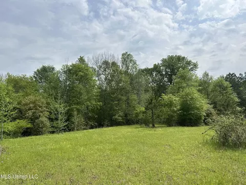 127 Burch Rd, Mendenhall, MS 39114 photo 12