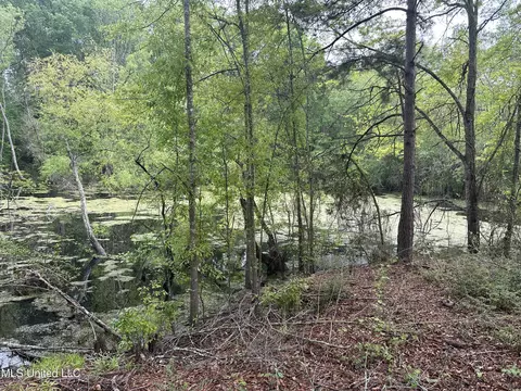 127 Burch Rd, Mendenhall, MS 39114 photo 9