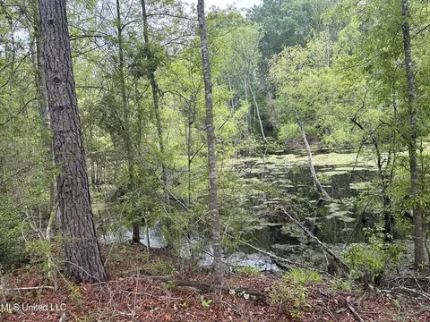 127 Burch Rd, Mendenhall, MS 39114 photo 8