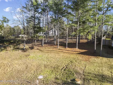 Cottesbrooke Circle, Madison, MS 39110 photo 8