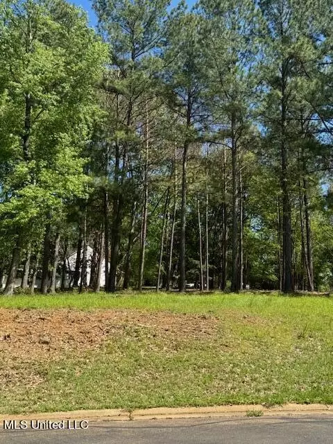 Cottesbrooke Circle, Madison, MS 39110 photo 6
