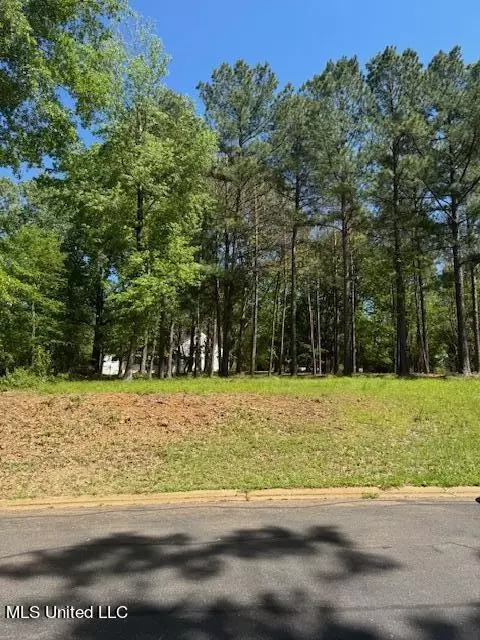 Cottesbrooke Circle, Madison, MS 39110 photo 5
