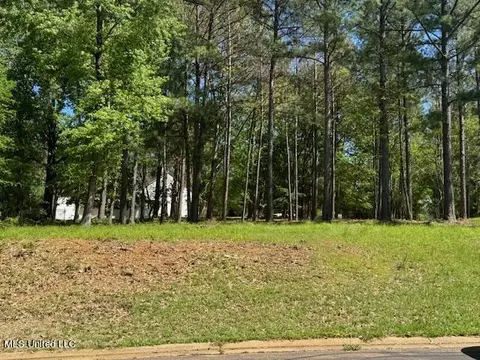 Cottesbrooke Circle, Madison, MS 39110 photo 18