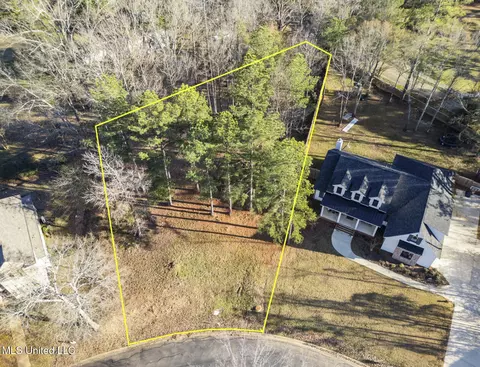 Cottesbrooke Circle, Madison, MS 39110 photo 17