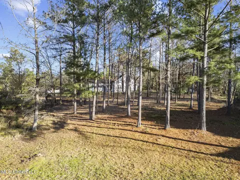 Cottesbrooke Circle, Madison, MS 39110 photo 7
