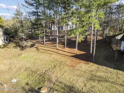 Cottesbrooke Circle, Madison, MS 39110 photo 9