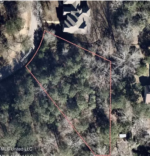 Cottesbrooke Circle, Madison, MS 39110 photo 3