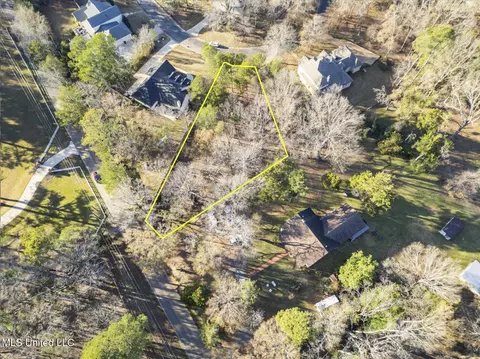 Cottesbrooke Circle, Madison, MS 39110 photo 16