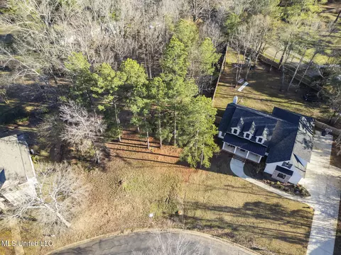 Cottesbrooke Circle, Madison, MS 39110 photo 10